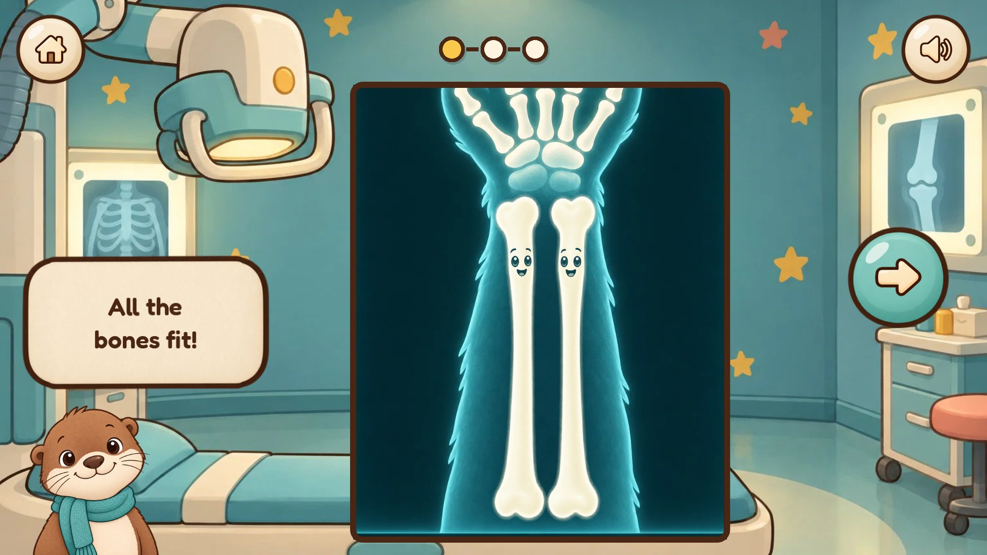 All the bones fit! No timers, no scores, no losing.
