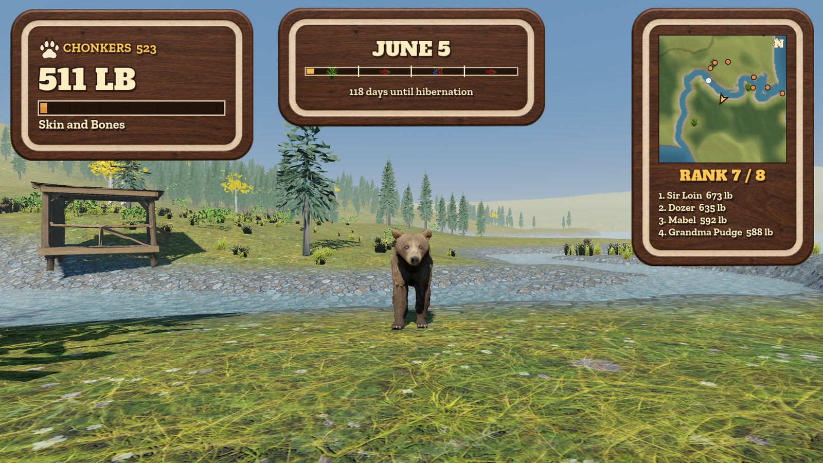 Skinny bear in June at 511 pounds
